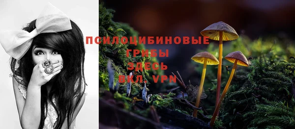 дурь Алексин