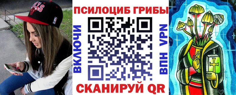 Галлюциногенные грибы Magic Shrooms  darknet Telegram  Краснозаводск  блэк спрут tor 